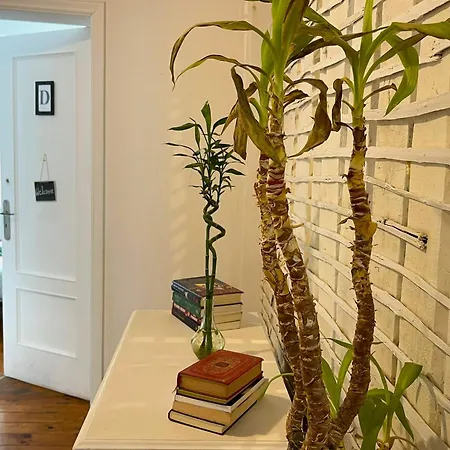 Guest house In Palmira Shared For Surf Lovers